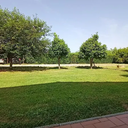 Farm stay Il Chiassetto No Kids