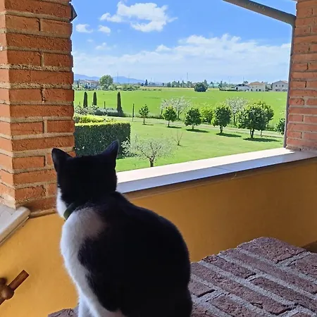 Il Chiassetto No Kids Farm stay