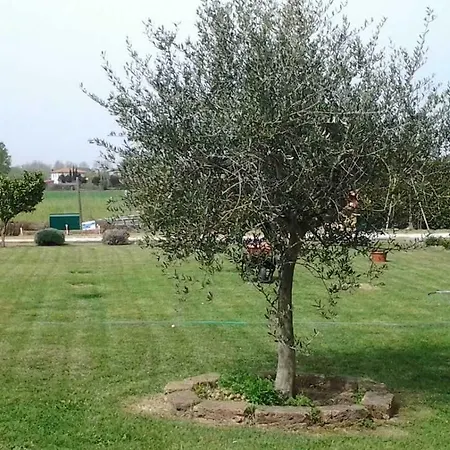 Il Chiassetto No Kids * Cascina (Pisa)