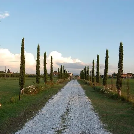 Gospodarstwo agroturystyczne Il Chiassetto No Kids